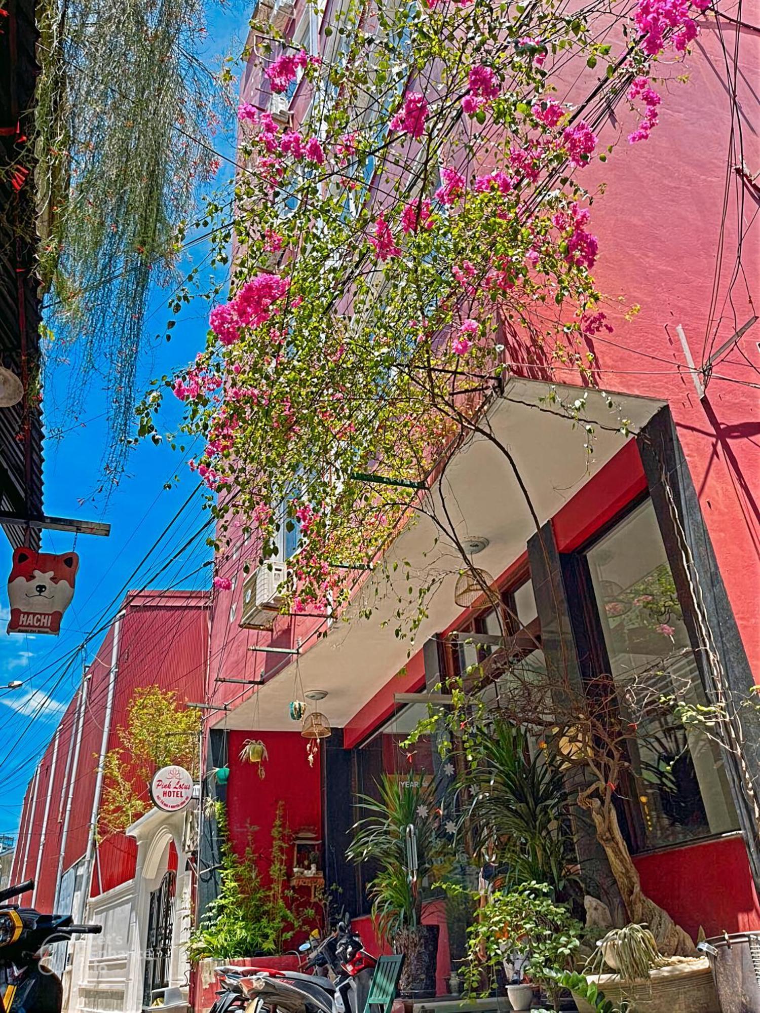 Pink Lotus Hotel Hue Exterior foto
